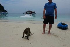 981A98A4-2F70-4F33-B738-7C4D33D2D6FD_1_105_c